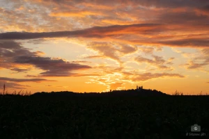 Création de site web à Laon : Quelles offres dans les petites villes ?